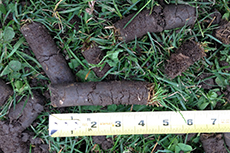 Aeration equipment